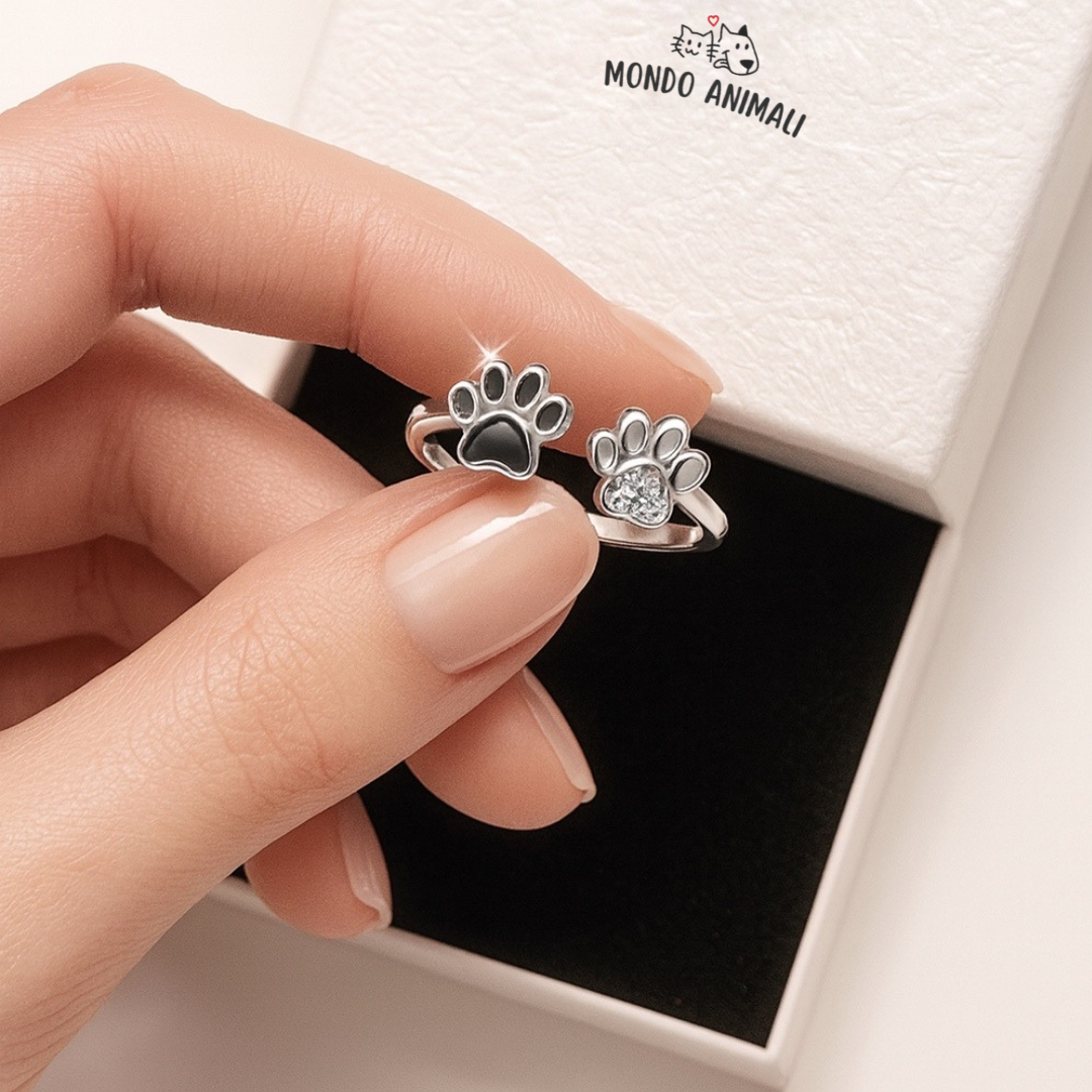 Anello Pawshine Crystal